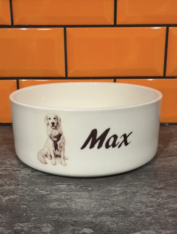 Pet Bowl